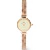Daniel Wellington Petite Mini 19 Melrose RG Champagne DW00100741