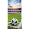 DETEXPOL Osuška Futbal rohový kop Bavlna Froté, 70/140 cm