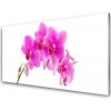 Sklenený obklad Do kuchyne Vstavač kvet orchidea 100x50 cm