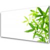 Nástenný panel Listy príroda rastlina 100x50 cm