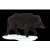 Animal Planet Diviak