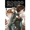 Bungo Stray Dogs 3: The Untold Origins of the Detective Agency - Kafka Asagiri, Sango Harukawa (ilustrácie)