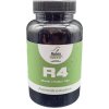 Aminokomplex ABAITS R4 Slimák / Mušľa / Asa