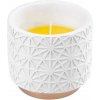 Sviečka Citronella, biela, repelentná, v dekoračnom kvetináči, 200 g, 110x100 mm
