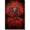 Spiderman oblek obraz na stenu