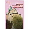 Posedenie pod tisícročným ružovým krom - Luby Štefan