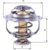 Termostat chladenia GATES TH42895G1