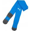 Puma TEAM LIGA SOCK