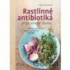 Rastlinné antibiotiká pripravené doma - Claudia Ritterová