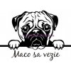Nálepka na auto - Mops, Pug zelená