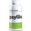 BENEVIT, s.r.o. Top Green Psyllium 300 g