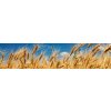 Fototapeta Dimex Obilie KI260-011 | 260 x 60 cm (Samolepiace fototapety na linku)