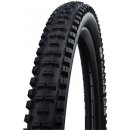 Schwalbe BIG BETTY 29x2.40