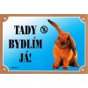 Farebná ceduľka Pozor pes, Králik