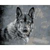 ZUTY Maľovanie podľa čísel VLK NA SIVOM POZADÍ Rámovanie bez rámu a bez vypnutia plátna Rozmer 80 x 100 cm