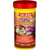 Dajana Neon Tetra micro granules 100 ml