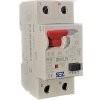 SEZ 2P B10A 10mA PFI2 B10/0.01