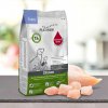 Platinum Natural Puppy Chicken 15 kg(3x5Kg)