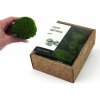 KreaBox - Kopčekový mach - Ball moss ( tmavo zelený )