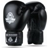 BUSHIDO Boxerské rukavice DBX ARB-Black