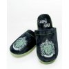 Papuče unisex Harry Potter - Slizolin (38-41)