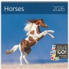 Horses nástěnný 2026