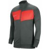 Nike Academy Pro Jr BV6948-068