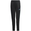 Adidas Tiro 23 Club Training Jr IC1588 pants (190554) Black 152cm