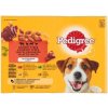 Pedigree Adult kura & jahňa & hydina & hovädzie v želé 12 x 100 g