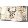 Foto obraz canvas Jeleň 100x50 cm