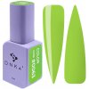 DNKa’ Gel Polish Color #0063 12 ml*