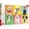 Trefl Puzzle 500: Psy