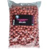 Boilies Vitalbaits Strawberry Nutty 5kg - 18 mm