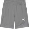 Puma teamFINAL Training shorts 658566-13