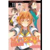 Nisekoi: False Love, Vol. 11