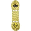 lano BEAL Booster III 9.7mm Dry Cover 60m anis