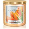 Kringle Candle Tangerine Tulips 467 g