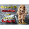 Pozorpes.sk, výstražná tabuľka (Kokršpaniel)