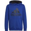 Sweatshirt adidas Big Logo Essentials Hoody Jr HN1912 (116857) Black 140 CM