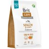 Brit Care Grain-free Senior&Light Salmon & Potato 3 kg