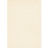 DIMEX | Vliesová tapeta na stenu WPE-901629 | 0,53 x 10,05 m | krémová + Krémová vliesová tapeta na stenu WPE901629 v rozmere 0,53 x 10,05 m