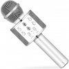 Detský mikrofón Karaoke mikrofón Eljet Globe Silver