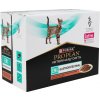 Purina PPVD Feline EN Gastroint.Salmon 10 x 85 g