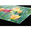 DIMEX | Plexisklo za kuchynskú linku PGT-08060-122 | 80 x 60 cm Jarné kvety + Plexisklo za kuchynskú linku DIMEX v rozmere 80 x 60 cm, Jarné kvety + Lepidlo zadarmo