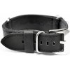 Diloy Nato 385.22.1