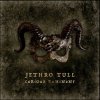 Jethro Tull: Curious Ruminant Digipack - Jethro Tull