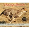 Chasing Cheetahs (Sy Montgomery,Nic Bishop)(Brožovaná)