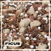 Rastlinkovo substrát Ficus 1 liter
