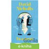 E-kniha Tu a teraz - David Nichols