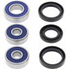 All Balls Racing Ložiská tesnenie kolesa sada All Balls Racing WB25-1095